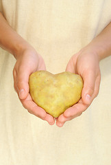 Image showing Hands of young woman holding potato in heart shape