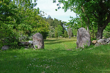 Image showing green nature