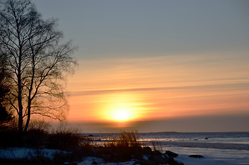 Image showing Winter sunset