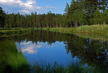 Image showing Lake in forest