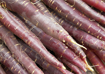 Image showing violet carrots