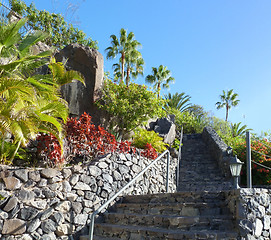 Image showing La Gomera