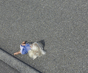 Image showing doll on the street