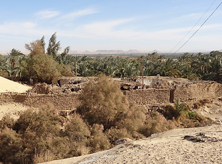 Image showing around Bahariya Oasis