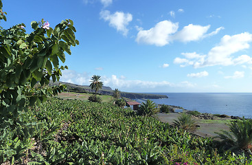 Image showing La Gomera