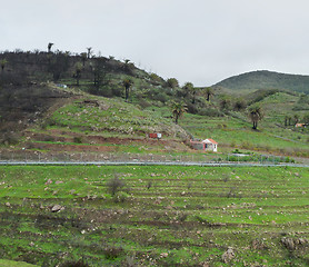 Image showing La Gomera