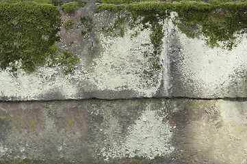 Image showing mossy stone wall
