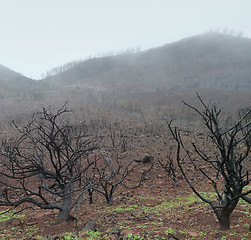 Image showing La Gomera