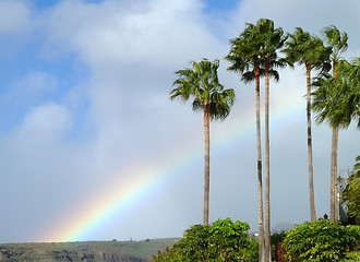 Image showing La Gomera