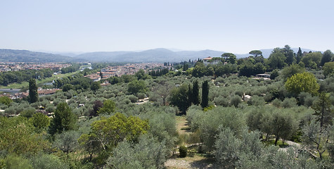 Image showing Florence