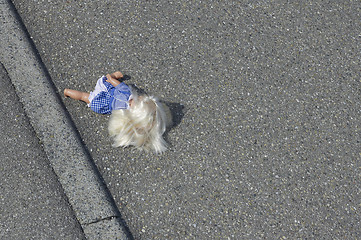 Image showing doll on the street