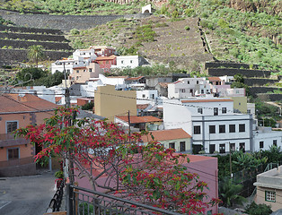 Image showing La Gomera