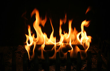 Image showing burning log