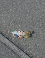 Image showing doll on the street