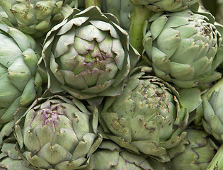 Image showing Artichokes