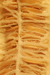 Image showing Melon core