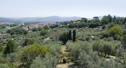 Image showing Florence