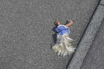 Image showing doll on the street