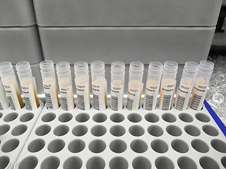 Image showing serologic assays