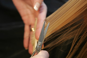 Image showing hairdressing