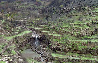 Image showing La Gomera