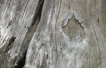 Image showing weathered wood detail