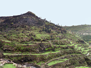 Image showing La Gomera