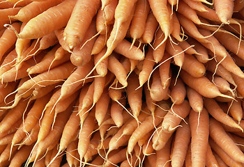 Image showing lots of fresh carrots