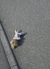 Image showing doll on the street