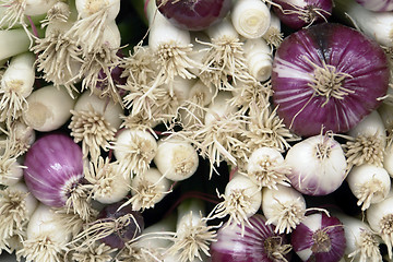 Image showing green onions