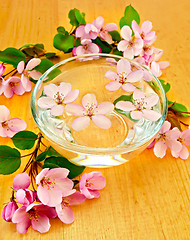 Image showing Apple blossom in a cup of water