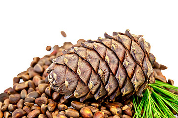 Image showing Cedar nuts with a cone and a sprig