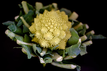 Image showing romanesco - italian broccoli