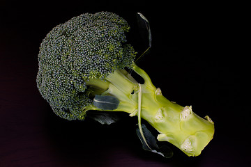 Image showing Fresh raw green broccoli