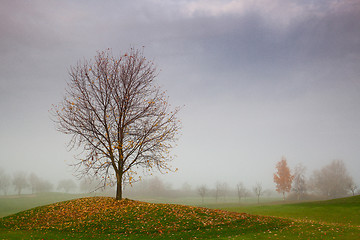 Image showing Autumn on the golf course