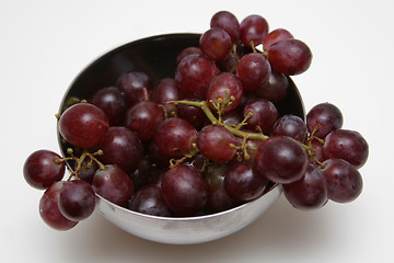 Image showing winegrapes