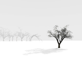 Image showing alone winter tree