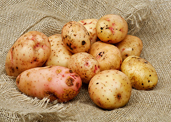Image showing Raw Potato