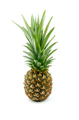 Image showing Pineapple