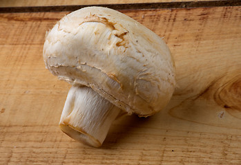 Image showing White Champignon