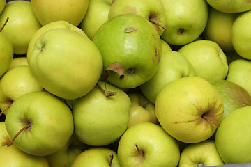 Image showing greenapples