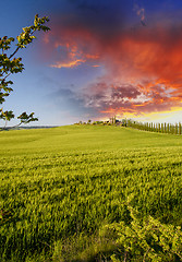 Image showing Landscape and Meadows of Tuscany, Spring Season