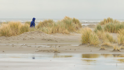 Image showing Lonely woman walking on a beach