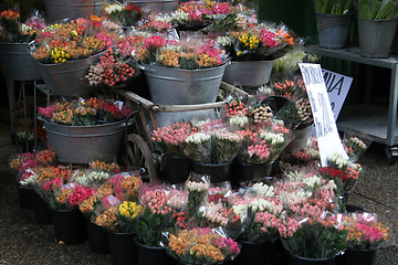 Image showing flowerstand