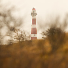 Image showing Red and white lighthouse