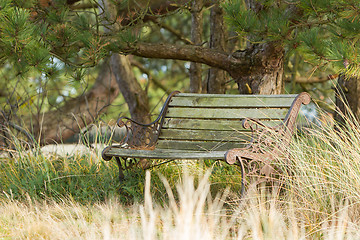 Image showing Old steel bench in the dutch nature