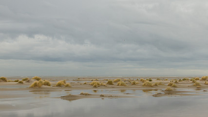 Image showing Low tide at the dunes of Ameland