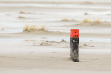 Image showing Low tide at the dunes of Ameland