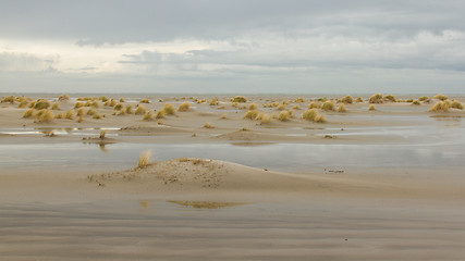 Image showing Low tide at the dunes of Ameland