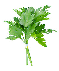 Image showing Fresh parsley